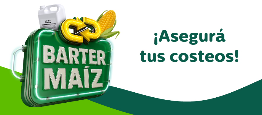 Barter Maiz