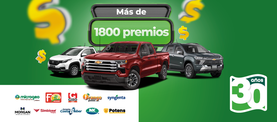 30 años